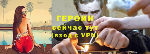 индика Няндома
