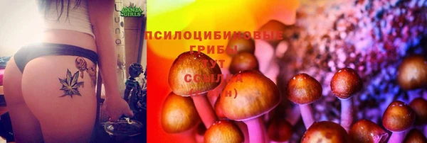 дмт Новозыбков