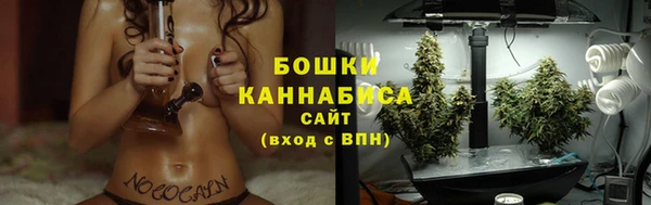 дмт Новозыбков