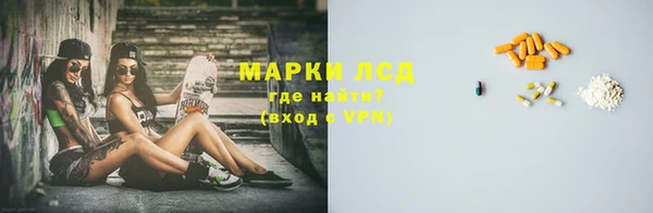 дмт Новозыбков