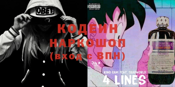 индика Няндома
