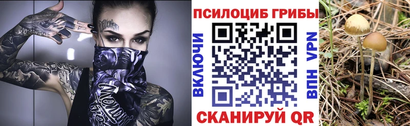 Псилоцибиновые грибы Magic Shrooms Купить закладки Карталы